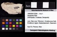 Foto (Objket + Etiketten) von Decapoda indet. 